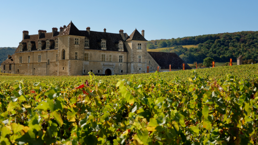 Château du Clos de Vougeot in Côte de Nuits